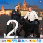 Salon Pan Pes — profesionální péče o psy všech plemen v Praze 6 (Řepy). Stříhání, trimování, koupání s kosmetikou Crown Royal a Iv San Bernard, příprava na výstavy.