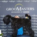 Salon Pan Pes — profesionální péče o psy všech plemen v Praze 6 (Řepy). Stříhání, trimování, koupání s kosmetikou Crown Royal a Iv San Bernard, příprava na výstavy.