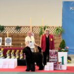 Salon Pan Pes — profesionální péče o psy všech plemen v Praze 6 (Řepy). Stříhání, trimování, koupání s kosmetikou Crown Royal a Iv San Bernard, příprava na výstavy.