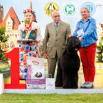 Salon Pan Pes — profesionální péče o psy všech plemen v Praze 6 (Řepy). Stříhání, trimování, koupání s kosmetikou Crown Royal a Iv San Bernard, příprava na výstavy.
