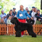 Salon Pan Pes — profesionální péče o psy všech plemen v Praze 6 (Řepy). Stříhání, trimování, koupání s kosmetikou Crown Royal a Iv San Bernard, příprava na výstavy.