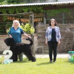 Salon Pan Pes — profesionální péče o psy všech plemen v Praze 6 (Řepy). Stříhání, trimování, koupání s kosmetikou Crown Royal a Iv San Bernard, příprava na výstavy.