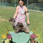 Salon Pan Pes — profesionální péče o psy všech plemen v Praze 6 (Řepy). Stříhání, trimování, koupání s kosmetikou Crown Royal a Iv San Bernard, příprava na výstavy.