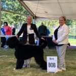 Salon Pan Pes — profesionální péče o psy všech plemen v Praze 6 (Řepy). Stříhání, trimování, koupání s kosmetikou Crown Royal a Iv San Bernard, příprava na výstavy.